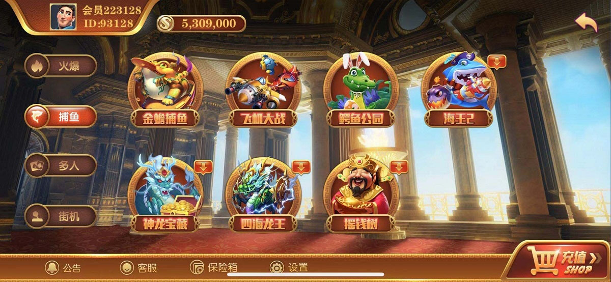 无错运营级别逍遥娱乐,2021最新大富豪,二开增加多款子游戏,双端完整组件-3